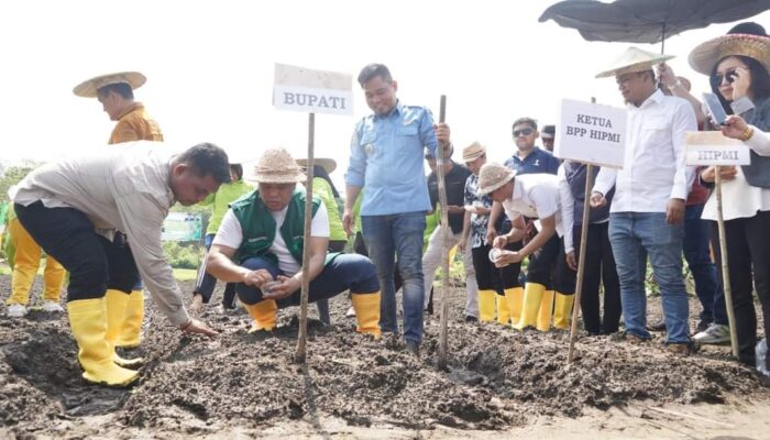 Tanam Perdana Komoditi Wijen di Konut, Ruksamin : Ini Program Unit Reaksi Cepat Pengendalian Ekstrim, Inflasi dan Stunting