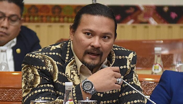 Politisi Gerindra Apresiasi Penangkapan Admin Anggota Grup ‘Fantasi Sedarah’ oleh Polisi