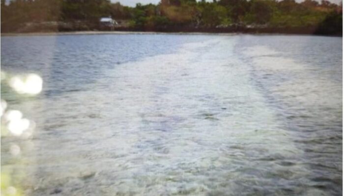 Terumbu Karang Taman Nasional Laut Wakatobi Terancam, PT WDR Diduga Biang Kerusakan
