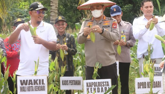 Kapolresta Kendari Hadiri Panen Raya Jagung Serentak 2025 di Nanga-Nanga