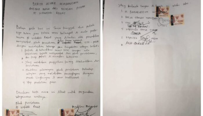 Tiga Dekade Dibatasi, Nelayan Tomia Akhirnya Bebas Tangkap Ikan di Laut Sendiri
