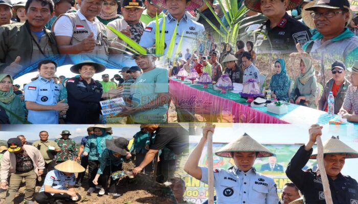 Pemkab Konut Gelar Gerakan Tanam Serentak Padi Gogo, Sawit, dan Nilam untuk Wujudkan Swasembada Pangan