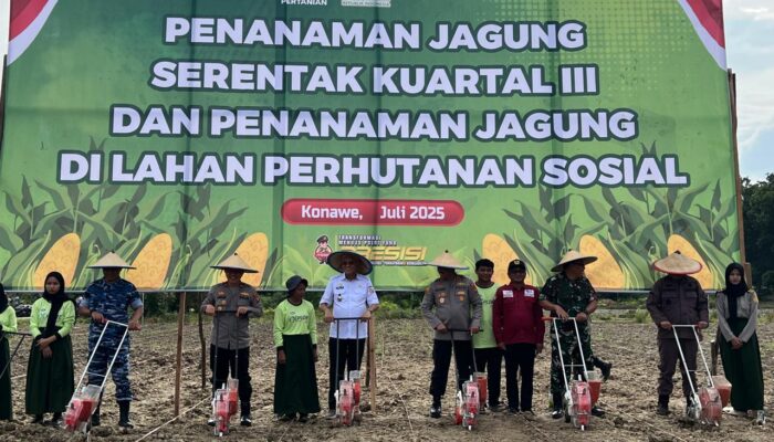 Polda Sultra Bersama Forkopimda Tanam Jagung Serentak Dukung Ketahanan Pangan Nasional