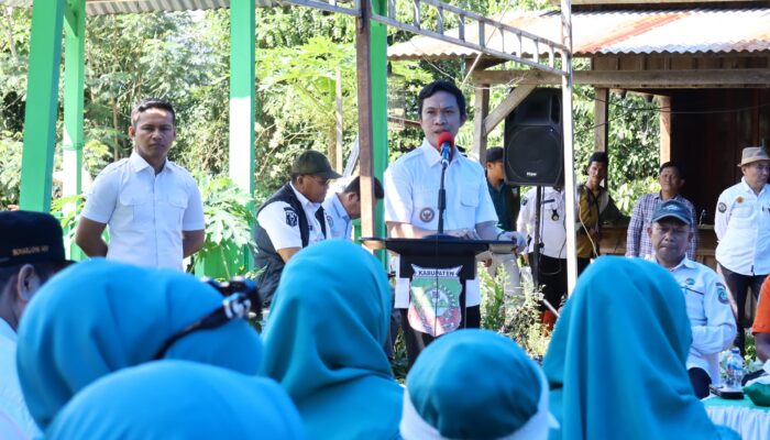 Pemkab Konut dan TP-PKK Gelar Tanam Serentak Cabai, Dorong Ketahanan Pangan dan Kendalikan Inflasi