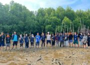 Mahasiswa KKN UHO Tanam 1.000 Mangrove di Desa Lemo, Wujud Nyata Peduli Lingkungan