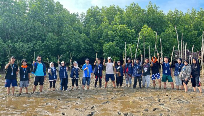 Mahasiswa KKN UHO Tanam 1.000 Mangrove di Desa Lemo, Wujud Nyata Peduli Lingkungan