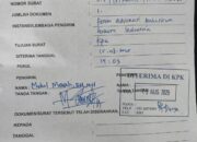 Skandal Nikel Kabaena: Fahmi Tuding Tambang Ilegal TMS Dikuasai Keluarga Gubernur, Rugikan Negara Rp9 Triliun