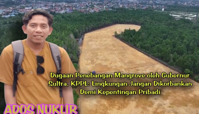Dugaan Penebangan Mangrove oleh Gubernur Sultra, KPPL: Lingkungan Jangan Dikorbankan Demi Kepentingan Pribadi