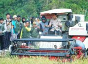 Panen Raya 135 Hektare di Sawa, Bupati Konawe Utara Tegaskan Pertanian Pilar Utama Swasembada Pangan