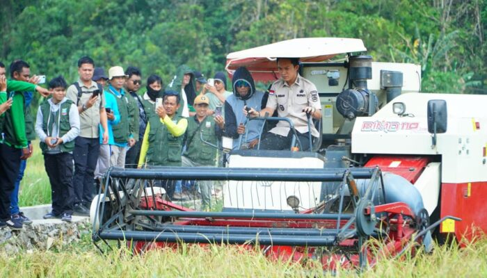 Panen Raya 135 Hektare di Sawa, Bupati Konawe Utara Tegaskan Pertanian Pilar Utama Swasembada Pangan
