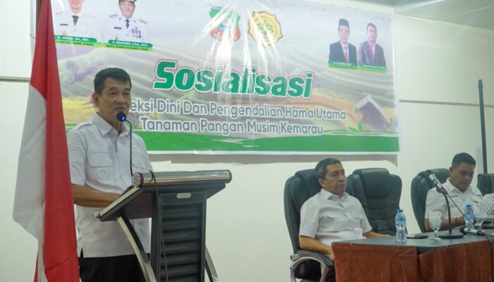 Wabup Konawe Utara Buka Sosialisasi Deteksi Dini dan Pengendalian Hama Tanaman Pangan Hadapi Musim Kemarau