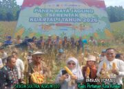 Panen Raya Jagung Serentak Kuartal I, Kadis Pertanian Kendari Tegaskan Komitmen Dukung Ketahanan Pangan Nasional