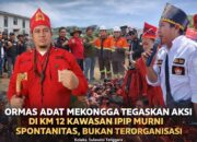 Ormas Adat Mekongga Tegaskan Aksi di Km 12 Kawasan IPIP Murni Spontanitas, Bukan Terorganisasi