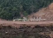 Hutan Mangrove Diduga Lenyap di Lapuko, Aktivitas Industri Galangan Kapal Disorot, Aparat Diminta Bertindak