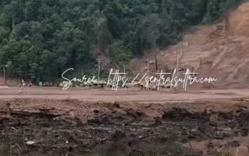 Hutan Mangrove Diduga Lenyap di Lapuko, Aktivitas Industri Galangan Kapal Disorot, Aparat Diminta Bertindak