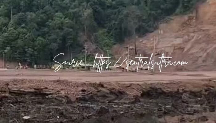 Hutan Mangrove Diduga Lenyap di Lapuko, Aktivitas Industri Galangan Kapal Disorot, Aparat Diminta Bertindak