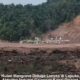 Hutan Mangrove Diduga Lenyap di Lapuko, Aktivitas Industri Galangan Kapal Disorot, Aparat Diminta Bertindak