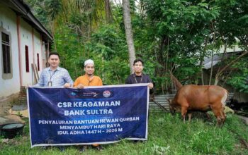 Bank Sultra Salurkan 23 Ekor Sapi Kurban untuk Masyarakat Sultra Jelang Idul Adha 1447 H