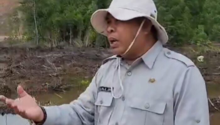 Mangrove Hilang di Lapuko, DPRD Sultra Akan Panggil Perusahaan Galangan Kapal