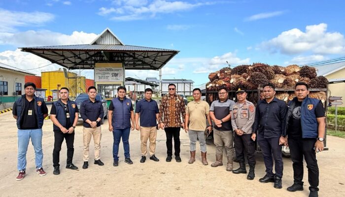 Polda Sultra Kawal Pengawasan Harga Sawit, Tiga Perusahaan di Konsel Jadi Sasaran Monitoring Satgas Pangan