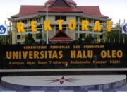 11 Akademisi Berebut Kursi Rektor UHO, Aktivis Minta Kemdiktisaintek Awasi Ketat Pilrek