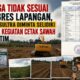 Diduga Tidak Sesuai Progres Lapangan, Polda Sultra Diminta Selidiki 11 Titik Kegiatan Cetak Sawah di Koltim
